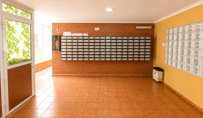 Segunda mano - Apartamento - Torrevieja