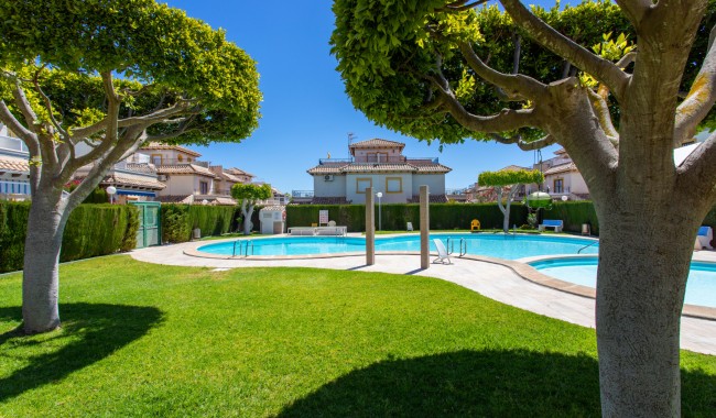 Begagnad - Lägenhet - Orihuela Costa
