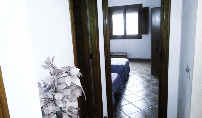 Segunda mano - Villa - Orihuela Costa - Orihuela costa
