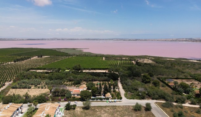 Sprzedaż - Kamienica - Torrevieja - Lago jardin