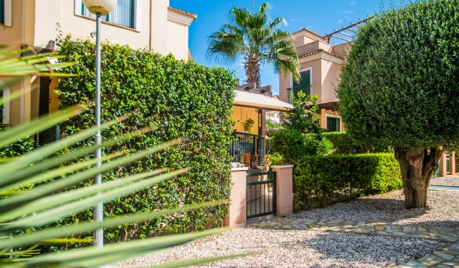 Sprzedaż - Kamienica - Torrevieja - LOS BALCONES - LOS ALTOS