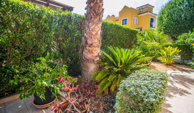 Sprzedaż - Kamienica - Torrevieja - LOS BALCONES - LOS ALTOS