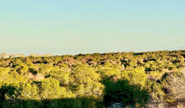 Sprzedaż - Kamienica - Torrevieja