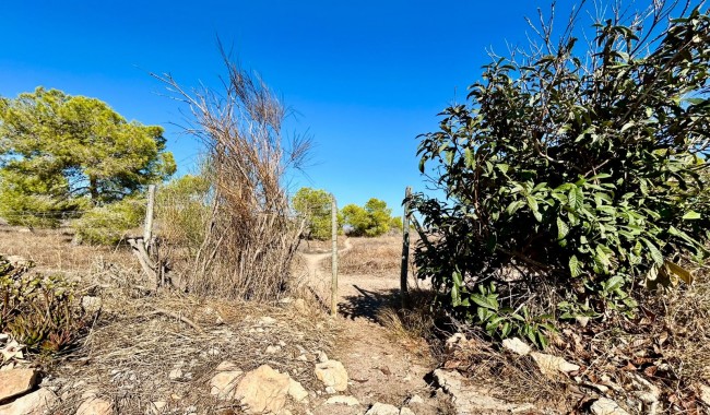 Brukt - Rekkehus - Torrevieja - Torreta florida