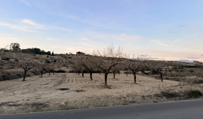 Parcela - Segunda mano - Torremendo - Costa Blanca