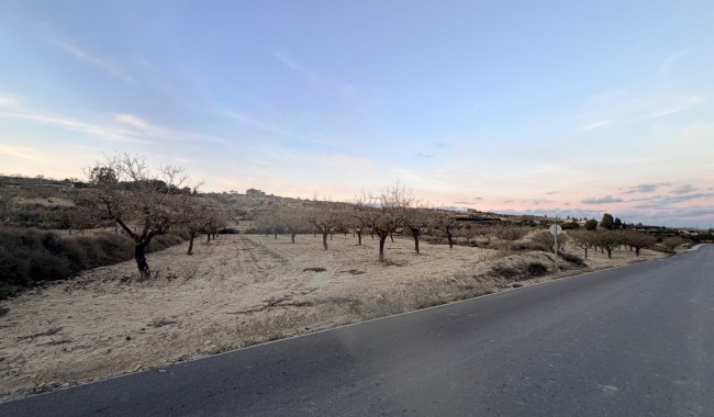 Segunda mano - Parcela - Torremendo - Costa Blanca