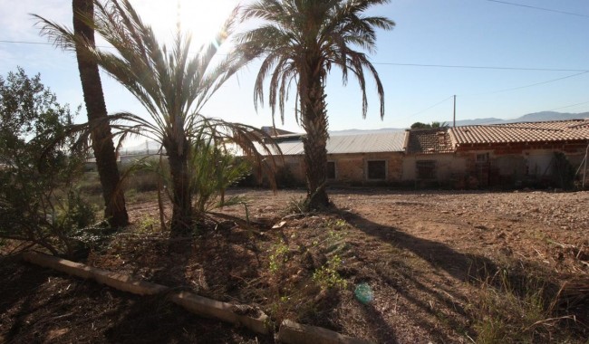 Resale - Finca - Orihuela - La Aparecida