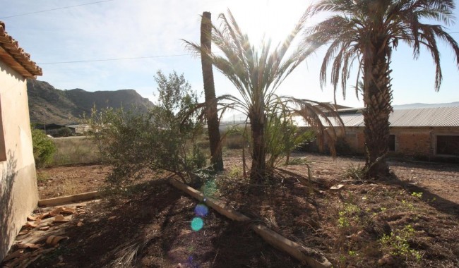 Resale - Finca - Orihuela - La Aparecida