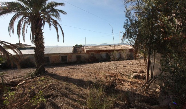 Resale - Finca - Orihuela - La Aparecida