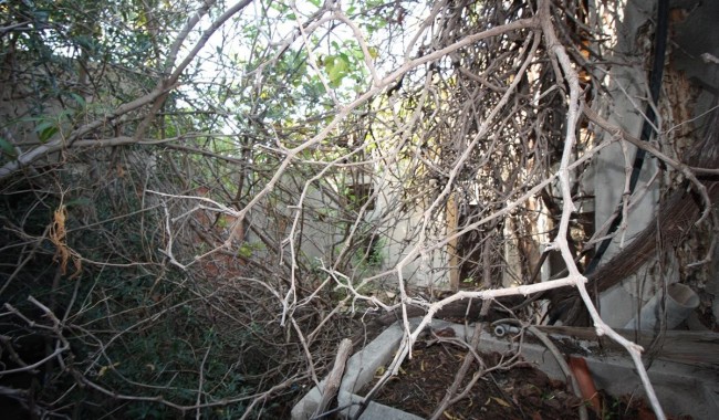 Resale - Finca - Orihuela - La Aparecida