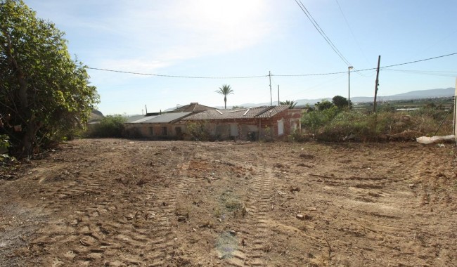 Resale - Finca - Orihuela - La Aparecida