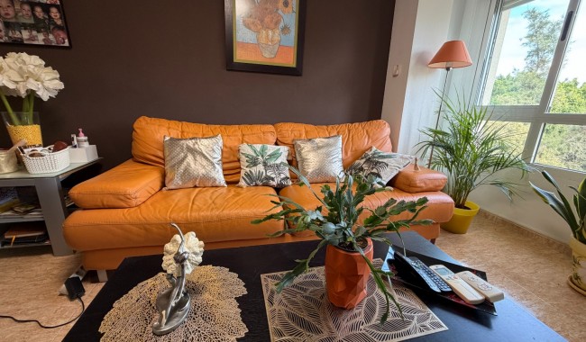 Segunda mano - Apartamento - Pilar de La Horadada
