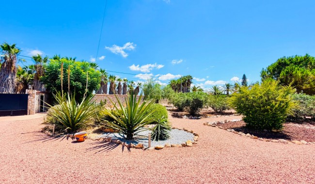 Begagnad - Villa - Daya Vieja