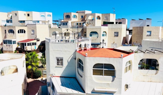 Apartamento - Segunda mano - San Miguel de Salinas - San Miguel de Salinas