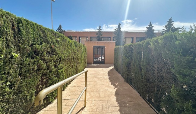 Brukt - Leilighet - Torrevieja