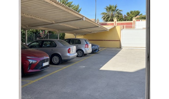 Brukt - Leilighet - Torrevieja