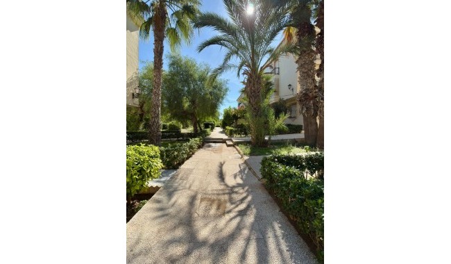 Segunda mano - Apartamento - Torrevieja - La Veleta