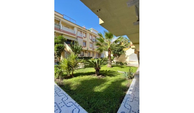 Segunda mano - Apartamento - Torrevieja - La Veleta