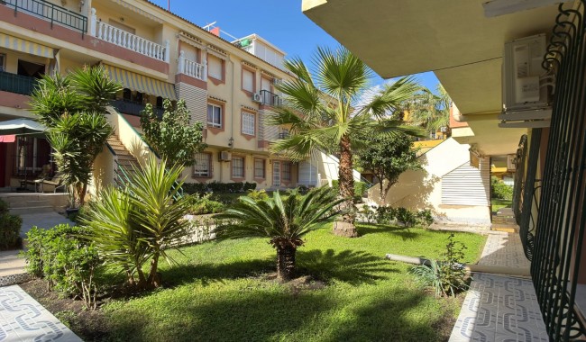 Segunda mano - Apartamento - Torrevieja - La Veleta