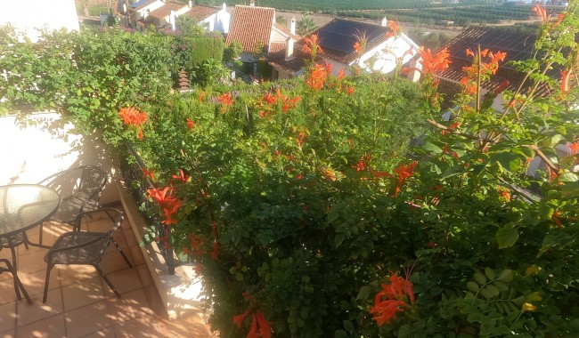 Segunda mano - Apartamento - Algorfa - La Finca golf