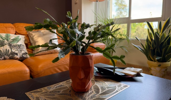 Resale - Apartment - Pilar de La Horadada - Pilar de la Horadada