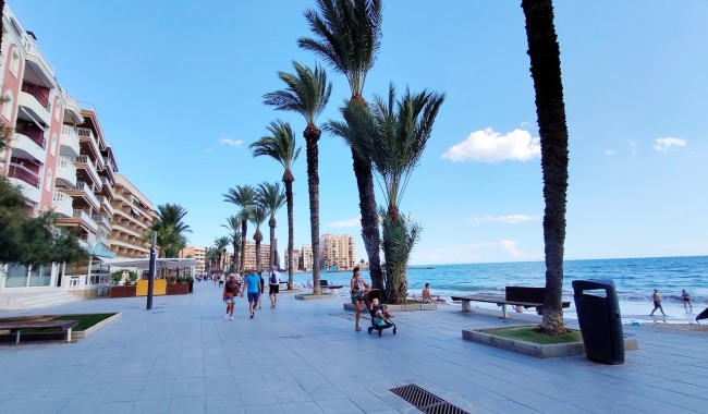 Begagnad - Lägenhet - Torrevieja