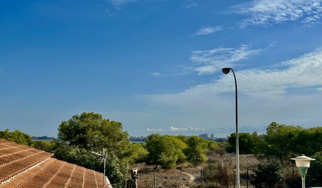 Segunda mano - Adosado - Torrevieja
