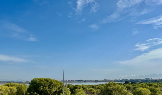 Segunda mano - Adosado - Torrevieja