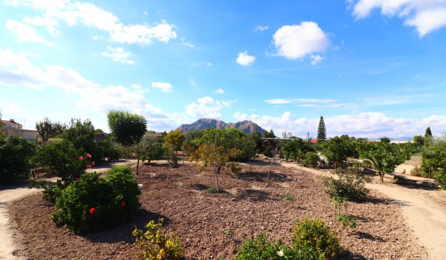 Segunda mano - Finca - Rafal - El Mudamiento