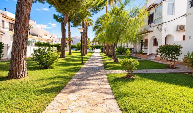 Begagnad - Lägenhet - Cabo Roig