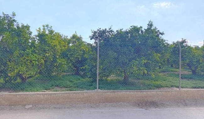 Resale - Apartment - Benejúzar